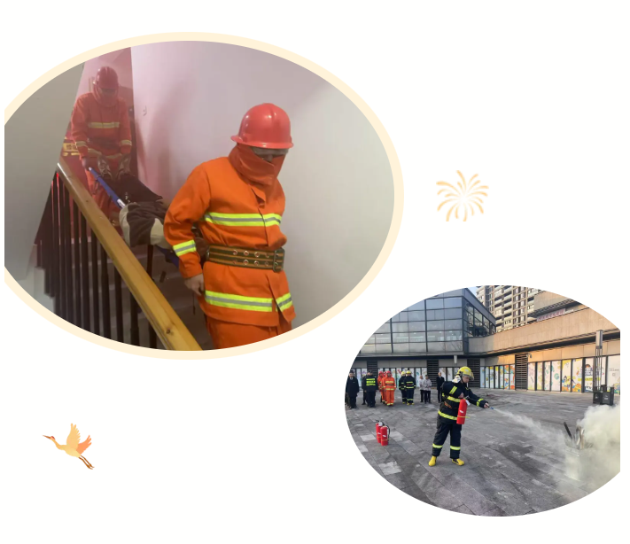 1741827328341238.jpg 9.jpg